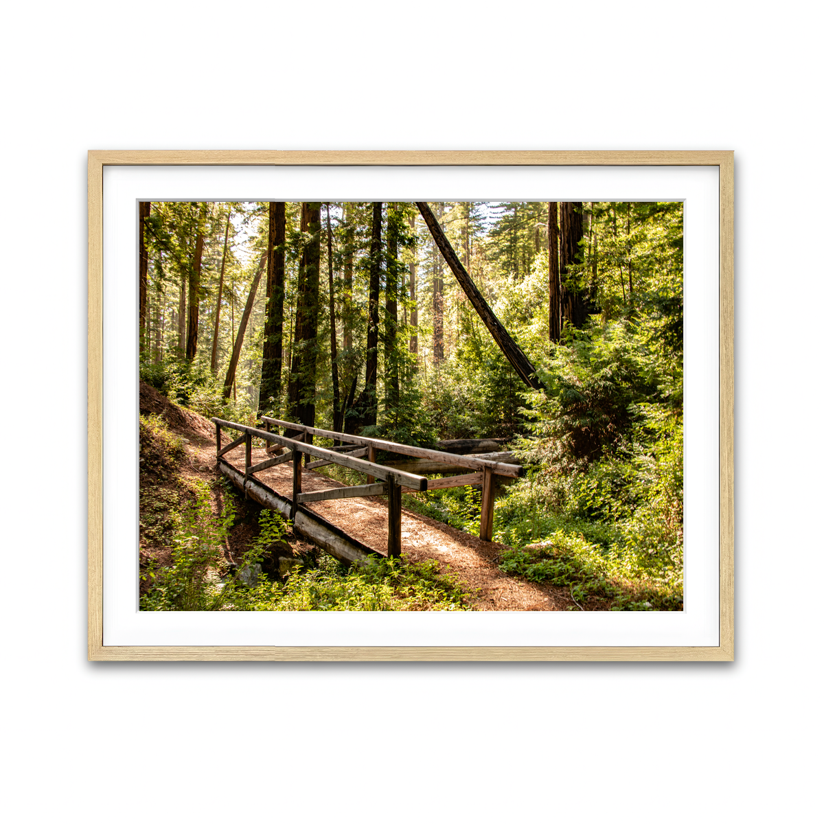 Ewoldsen Trail Bridge Wall Art