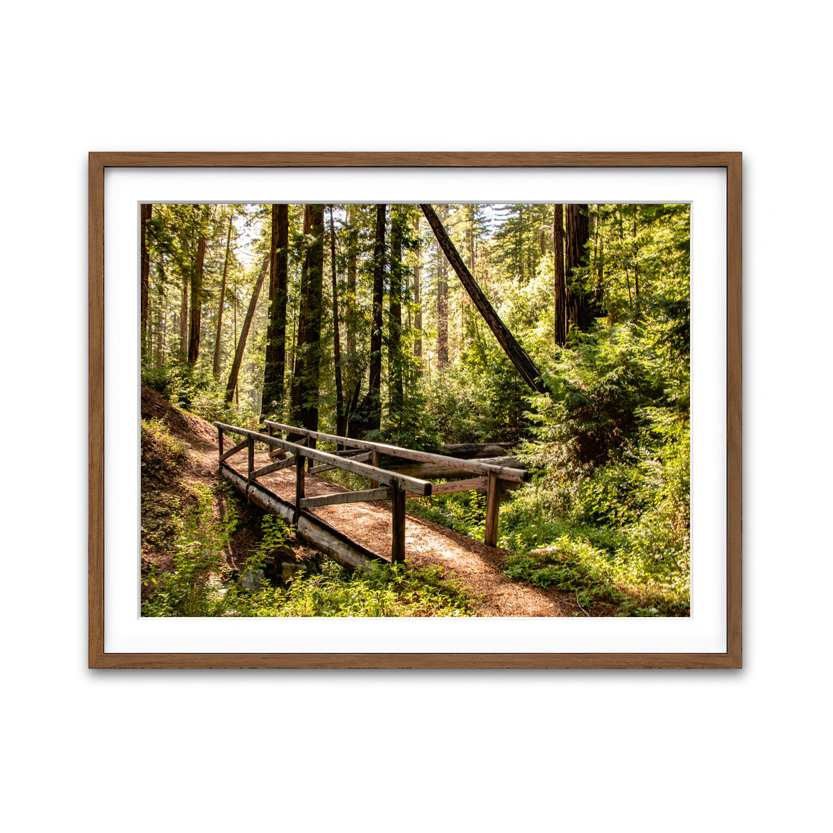 Ewoldsen Trail Bridge Wall Art