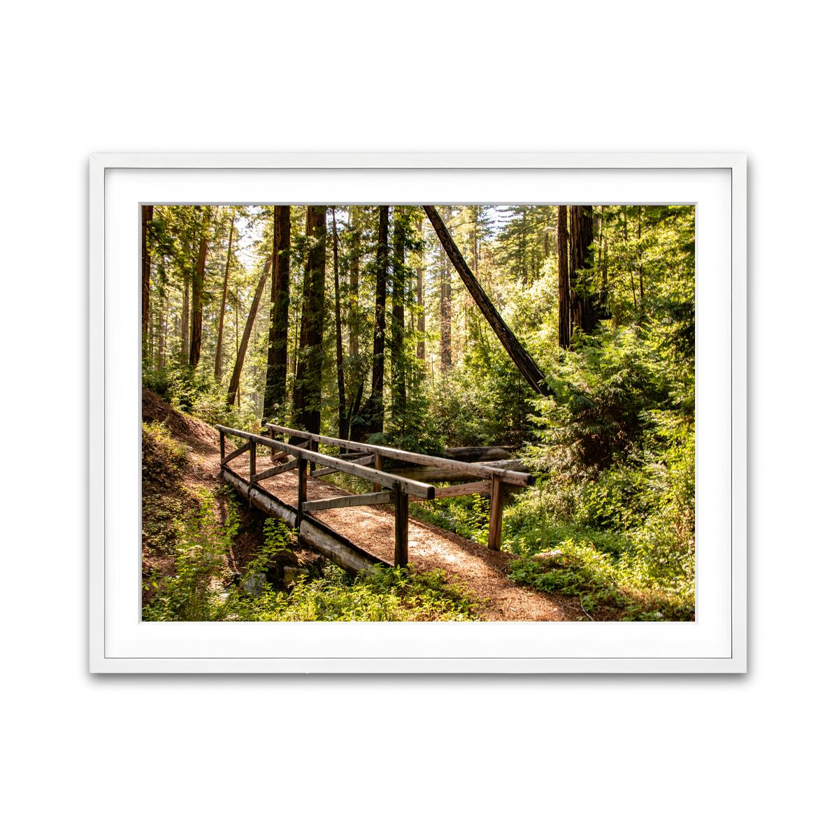 Ewoldsen Trail Bridge Wall Art