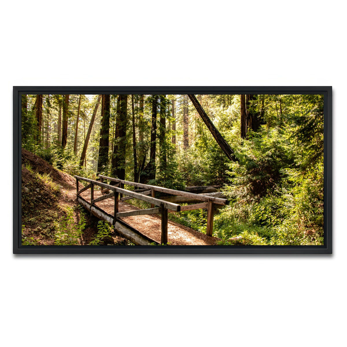 Ewoldsen Trail Bridge Wall Art