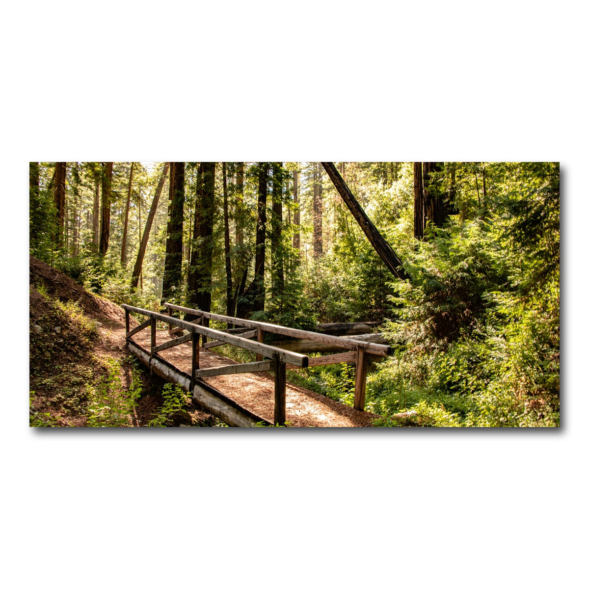 Ewoldsen Trail Bridge Wall Art