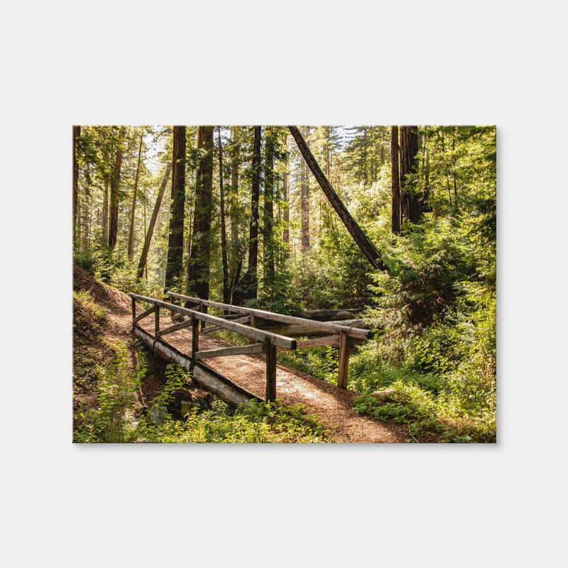 AUTO-MOCKUP WHITE | Ewoldsen Trail Bridge | 1 Piece | Gallery Wrap Canvas | group=4x3