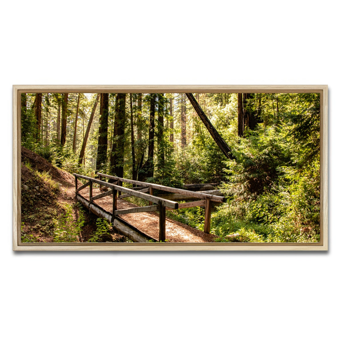 Ewoldsen Trail Bridge Wall Art
