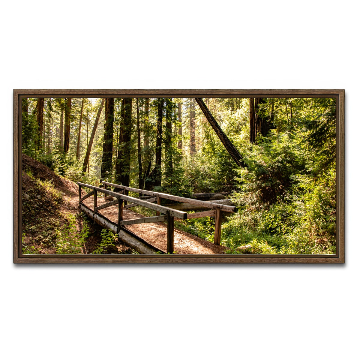 Ewoldsen Trail Bridge Wall Art