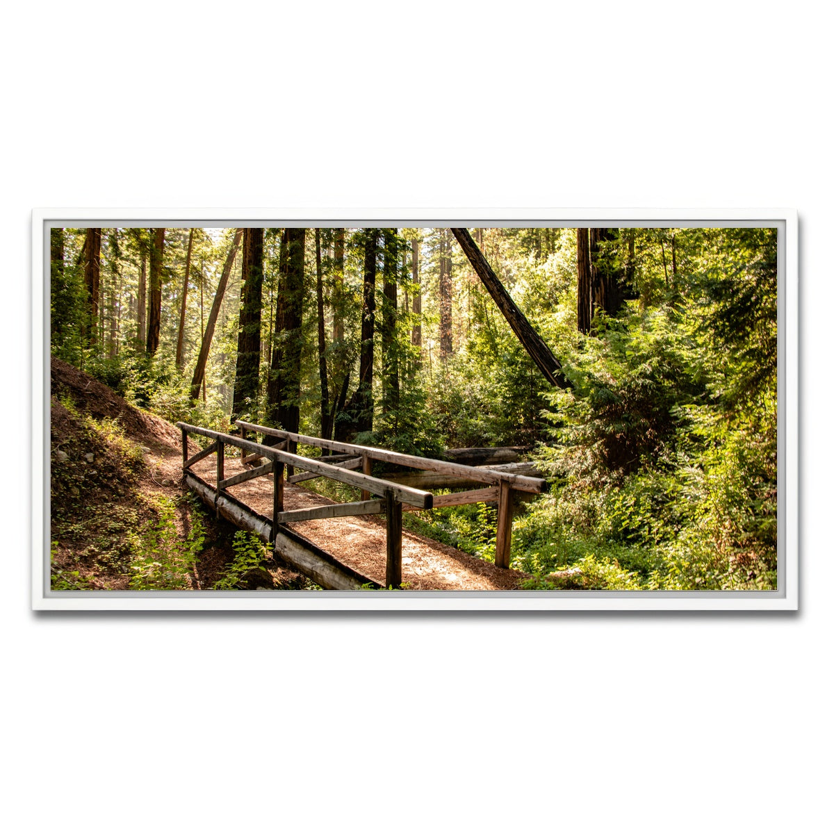 Ewoldsen Trail Bridge Wall Art