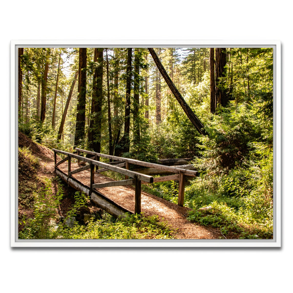 Ewoldsen Trail Bridge Wall Art