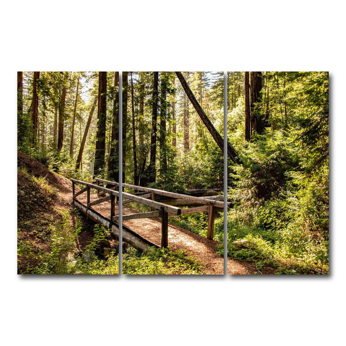 Ewoldsen Trail Bridge Wall Art