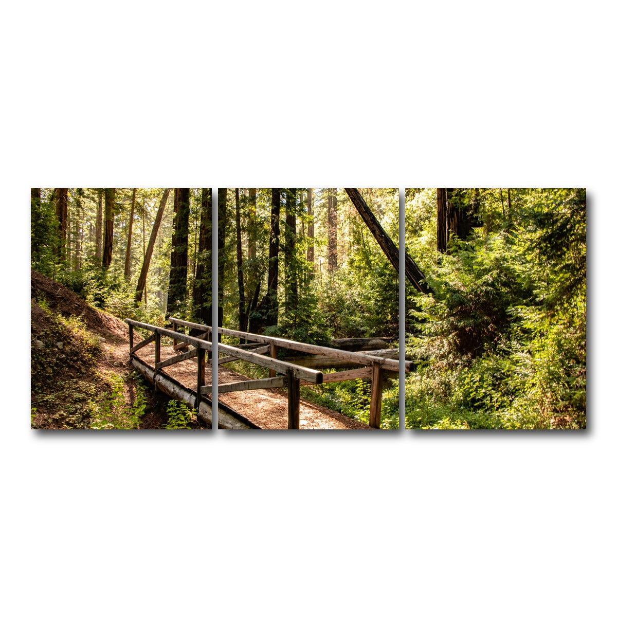 Ewoldsen Trail Bridge Wall Art