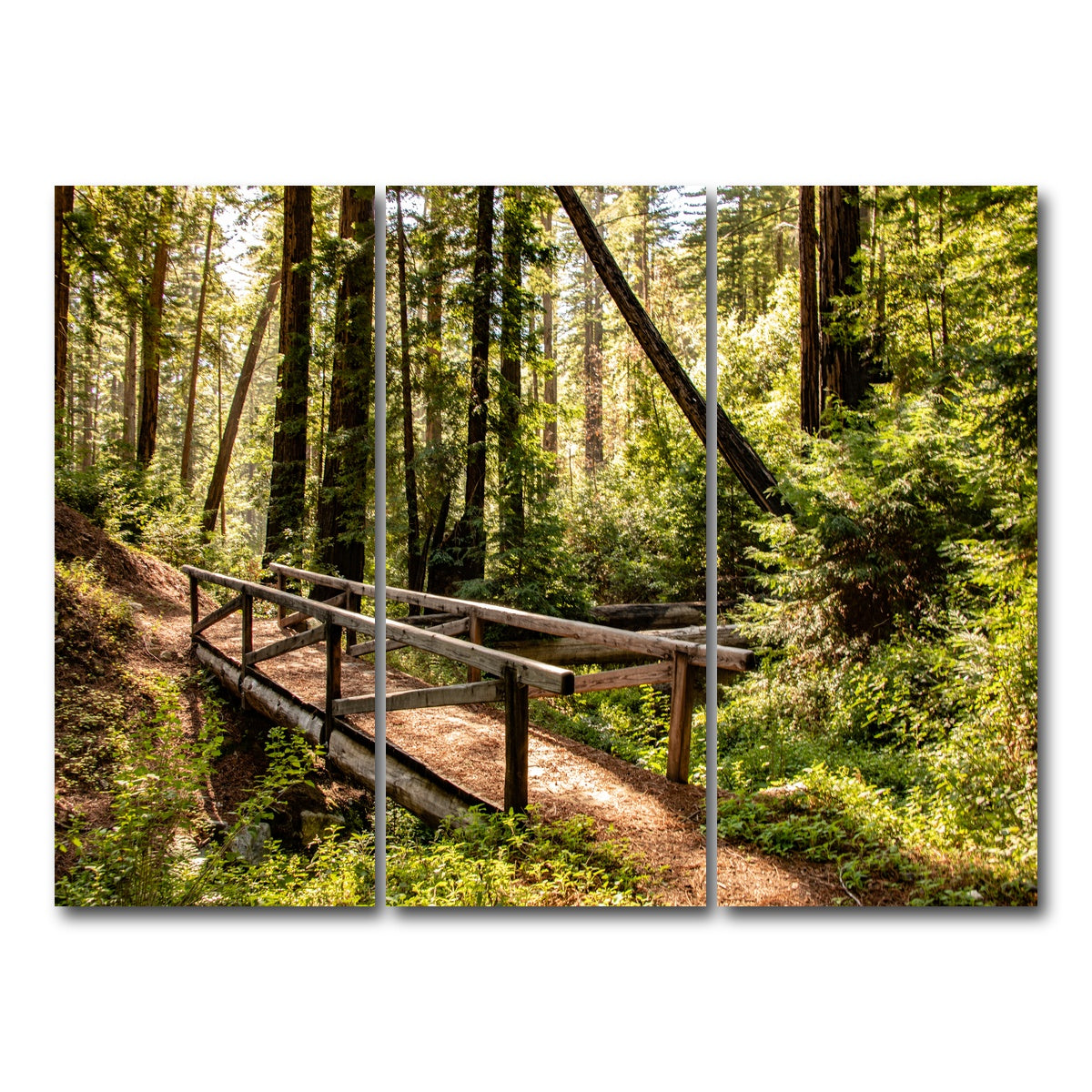 Ewoldsen Trail Bridge Wall Art