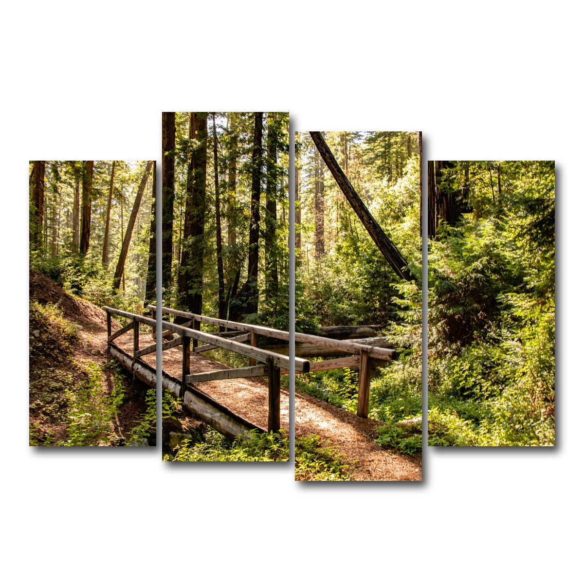 Ewoldsen Trail Bridge Wall Art