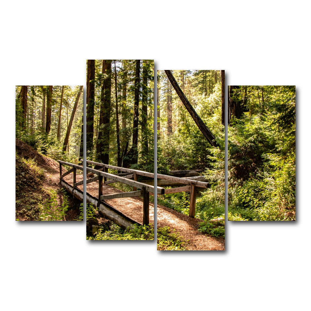 Ewoldsen Trail Bridge Wall Art