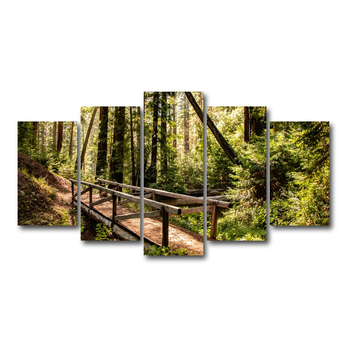 Ewoldsen Trail Bridge Wall Art