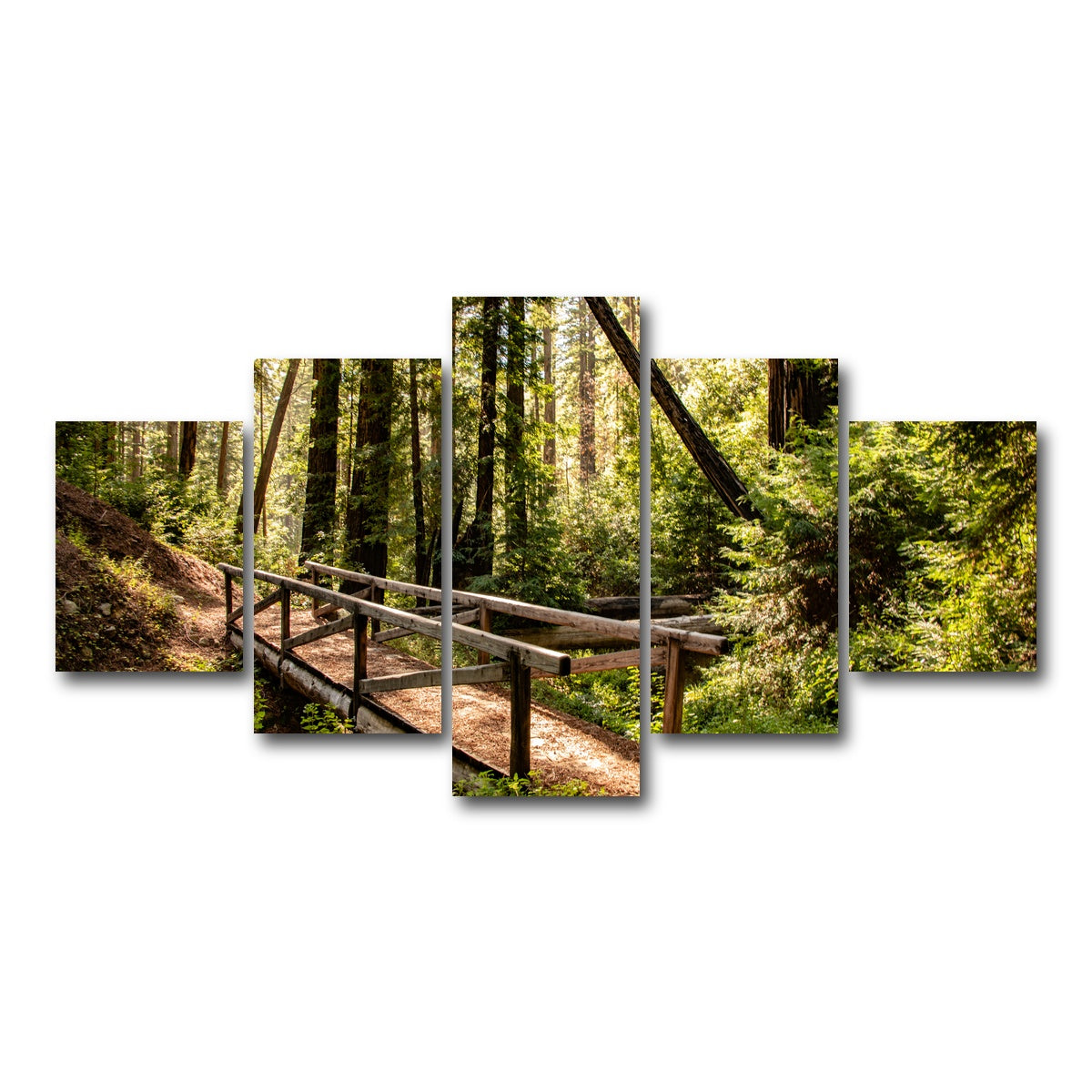 Ewoldsen Trail Bridge Wall Art