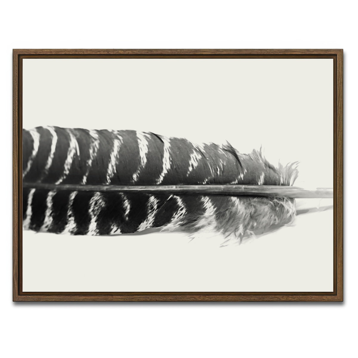 AUTO-MOCKUP WHITE | Falcon Feather | 1 Piece | Walnut Framed Canvas | group=4x3