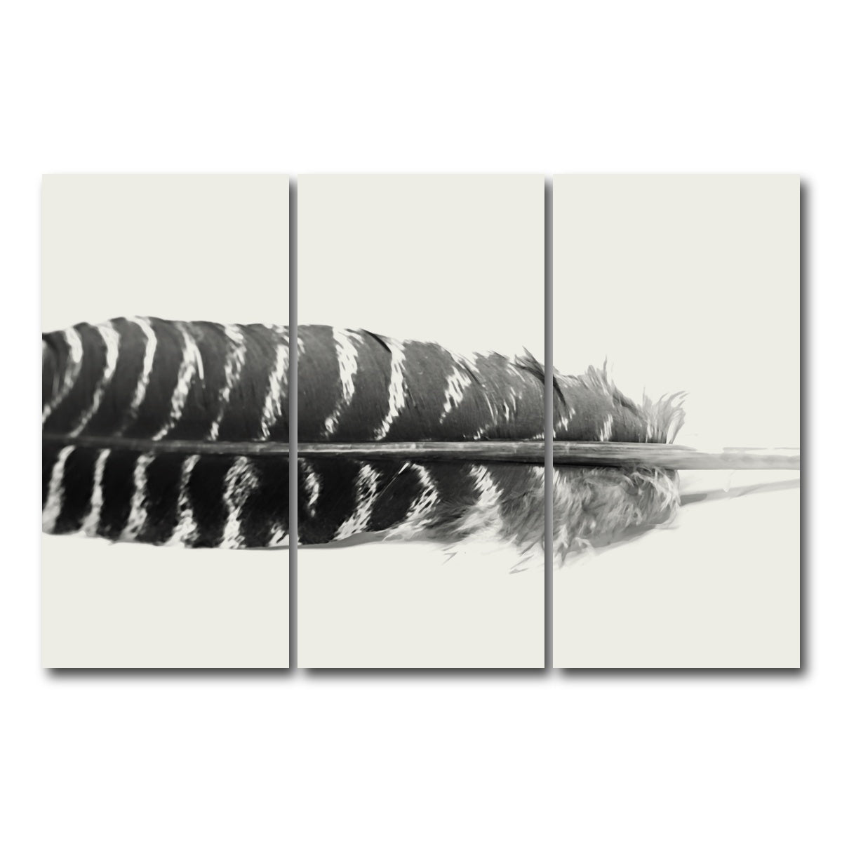 AUTO-MOCKUP WHITE | Falcon Feather | 3 Piece | Gallery Wrap Canvas | group=12x24