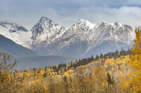 Fall Colors in Northern BC Wall Art