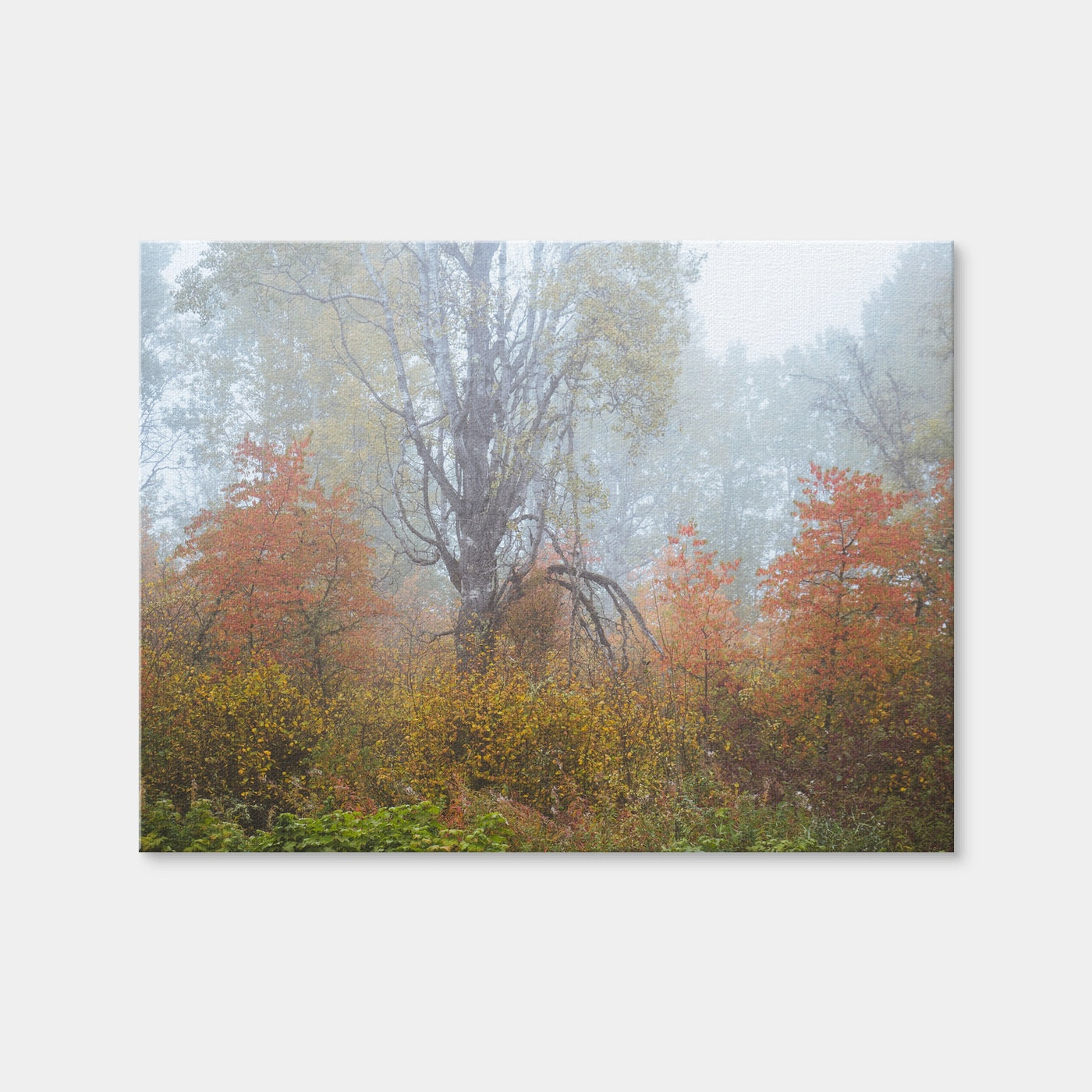 AUTO-MOCKUP WHITE | Fall Colors in Northern BC 1 | 1 Piece | Gallery Wrap Canvas | group=4x3