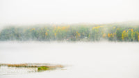 Fall Colors in Northern BC 2 Wall Art