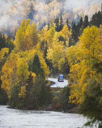Fall Colors in Northern BC 3 Wall Art