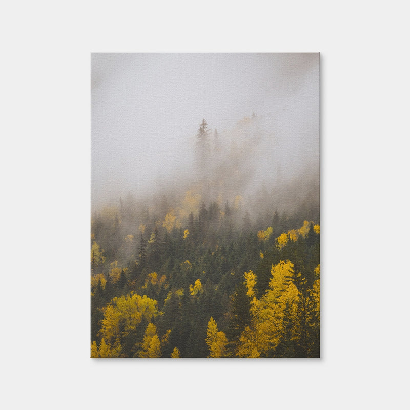 AUTO-MOCKUP WHITE | Fall Colors in Northern BC 4 | 1 Piece | Gallery Wrap Canvas | group=3x4