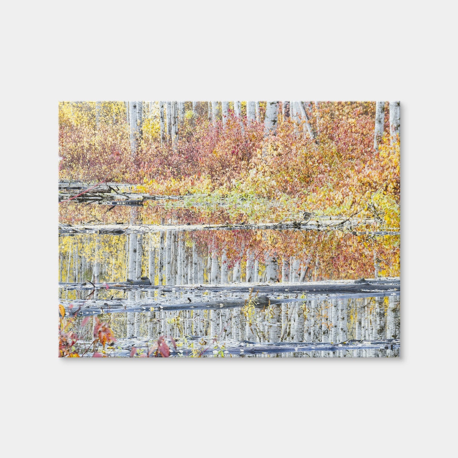 AUTO-MOCKUP WHITE | Fall Colors in Northern BC 5 | 1 Piece | Gallery Wrap Canvas | group=4x3