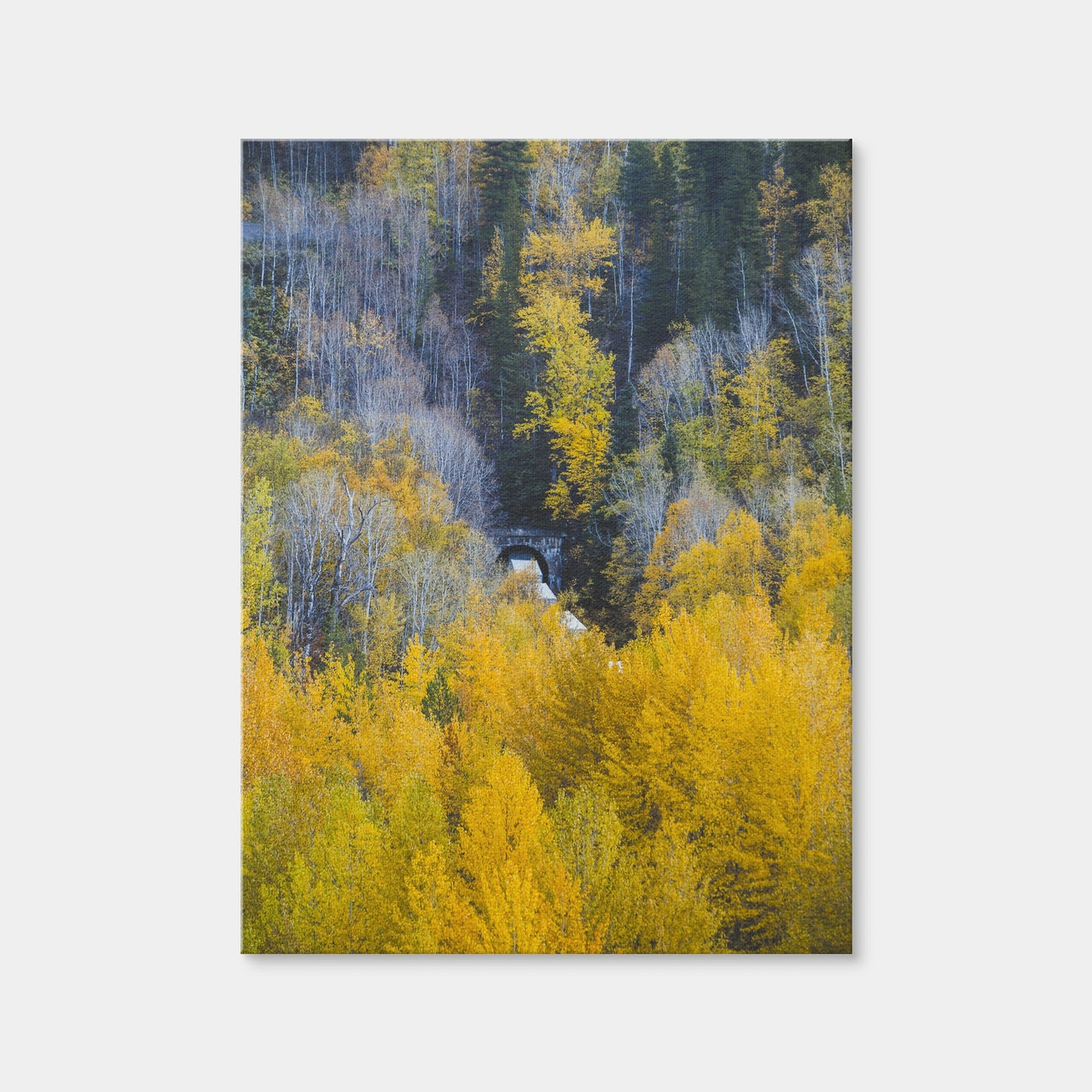 AUTO-MOCKUP WHITE | Fall Colors in Northern BC 6 | 1 Piece | Gallery Wrap Canvas | group=3x4