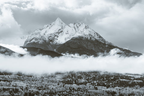 Fall Colors in Northern BC 7 Wall Art