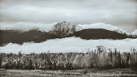 Fall Colors in Northern BC 9 Wall Art