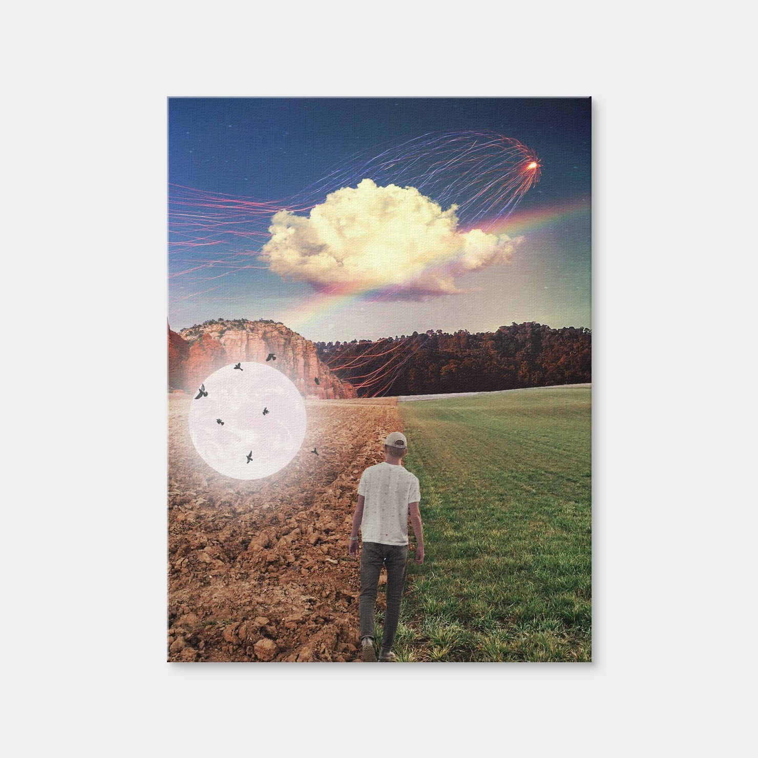 AUTO-MOCKUP WHITE | Falling Moon Birds | 1 Piece | Gallery Wrap Canvas | group=3x4