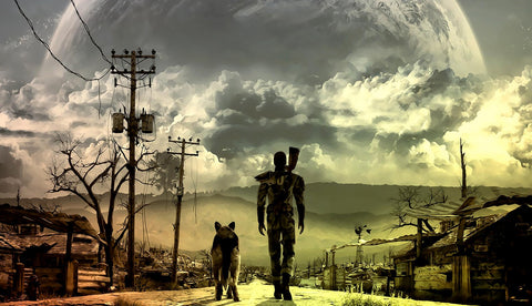 Fallout Wall Art