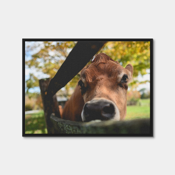 Farm Life Wall Art — Framed Canvas Format preview