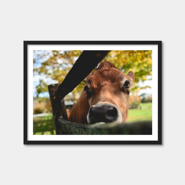 Farm Life Wall Art — Framed Print Format preview