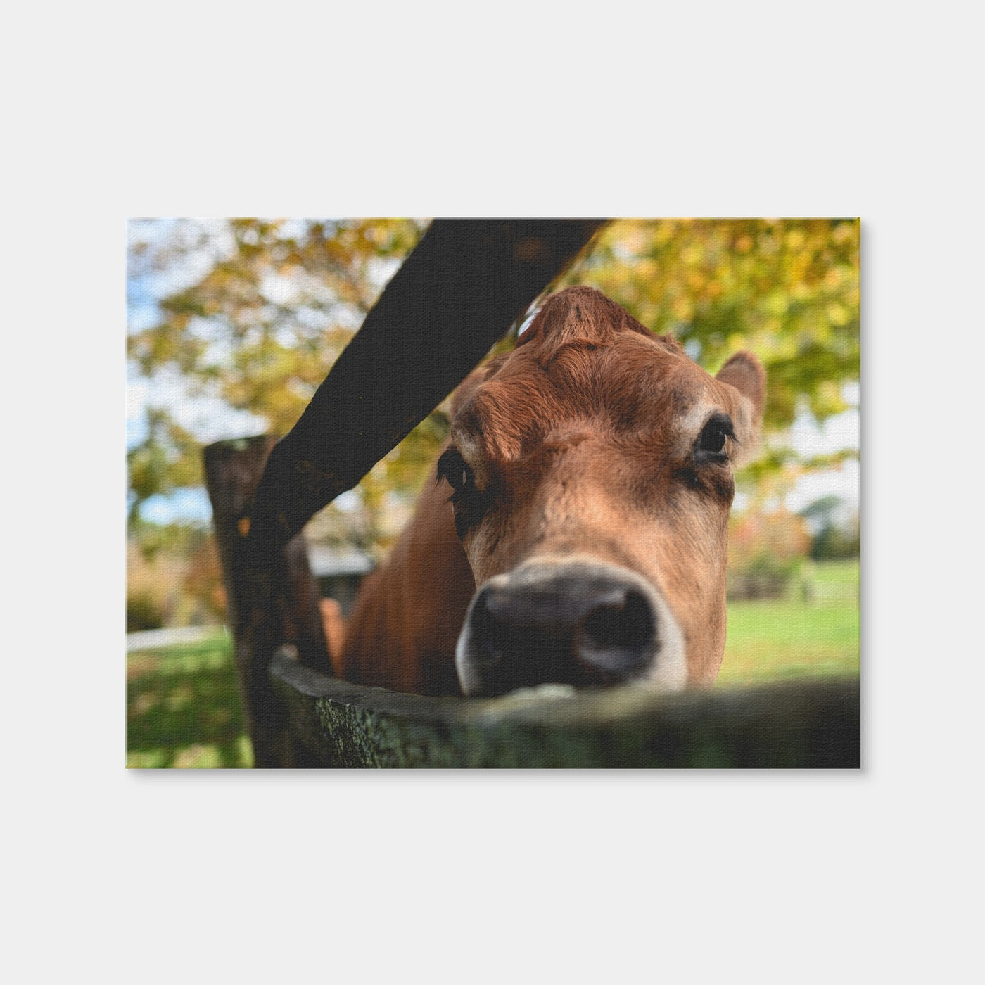 AUTO-MOCKUP WHITE | Farm Life | 1 Piece | Gallery Wrap Canvas | group=4x3