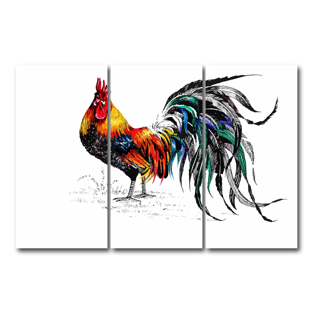 AUTO-MOCKUP WHITE | Farm rooster | 3 Piece | Gallery Wrap Canvas | group=12x24