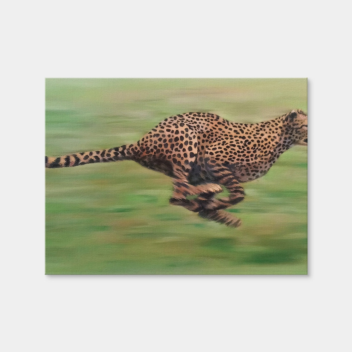 AUTO-MOCKUP WHITE | Fast Forward | 1 Piece | Gallery Wrap Canvas | group=4x3