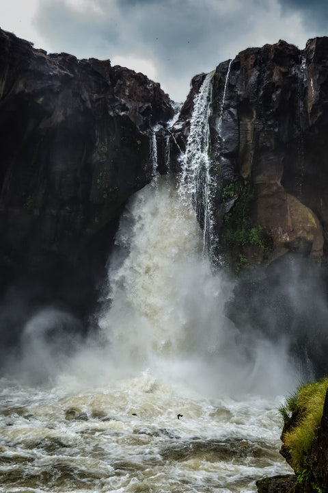Fearless birds at Prata Waterfall Wall Art