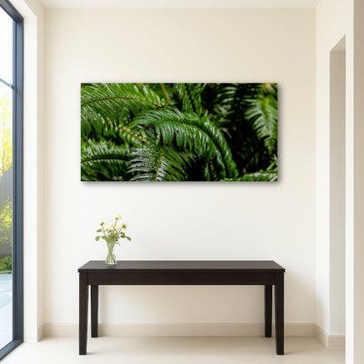 AUTO-MOCKUP ROOM | Ferns