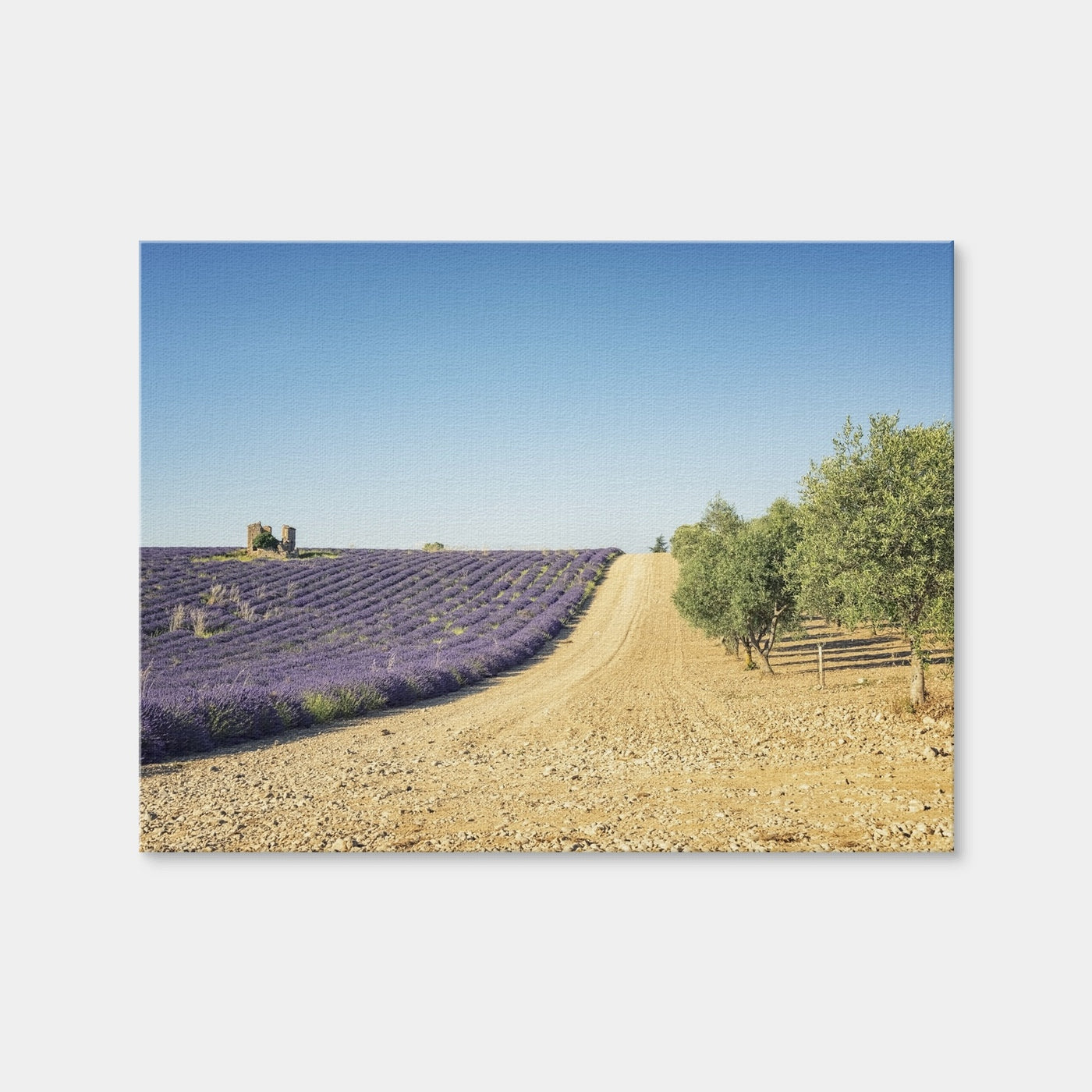 AUTO-MOCKUP WHITE | Fields In Provence | 1 Piece | Gallery Wrap Canvas | group=4x3