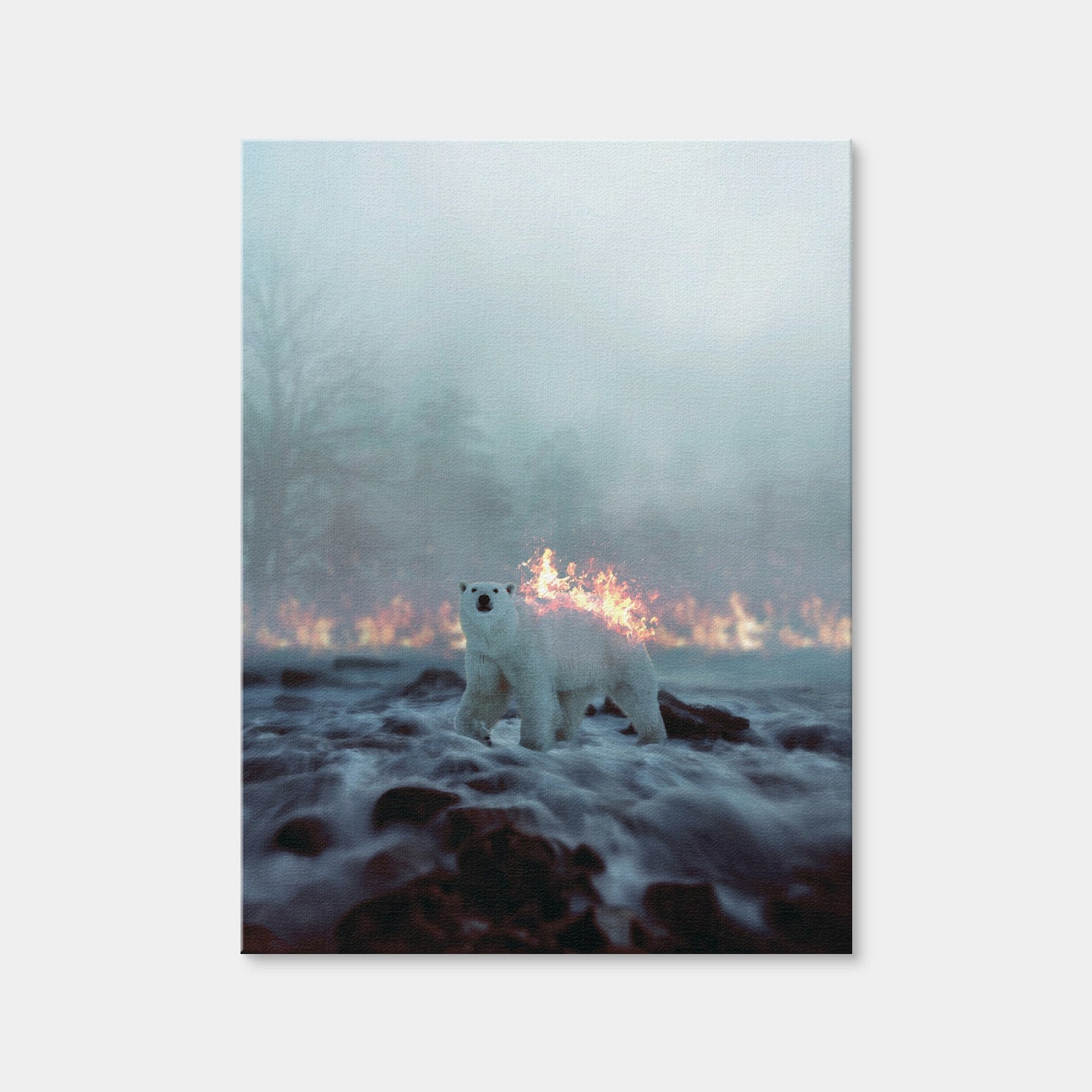 AUTO-MOCKUP WHITE | Fire and Ice | 1 Piece | Gallery Wrap Canvas | group=3x4