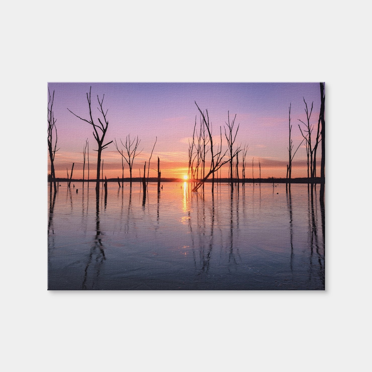 AUTO-MOCKUP WHITE | First Light | 1 Piece | Gallery Wrap Canvas | group=4x3