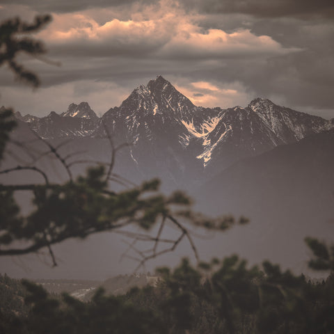 Fisher Peak Wall Art