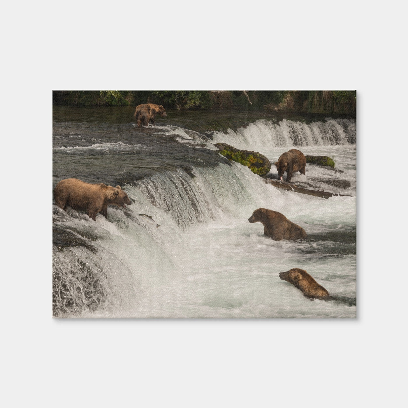 AUTO-MOCKUP WHITE | Five Bears Salmon Fishing | 1 Piece | Gallery Wrap Canvas | group=4x3