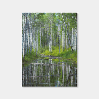 AUTO-MOCKUP WHITE | Flooded Grove | 1 Piece | Gallery Wrap Canvas | group=3x4