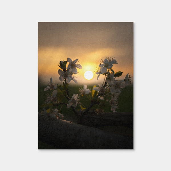 Floral Sunset Wall Art — Canvas Wrap Format preview
