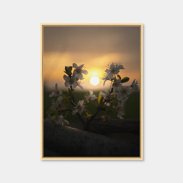 Floral Sunset Wall Art — Framed Canvas Format preview