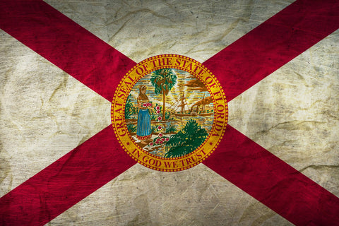 Florida Flag Grunge Wall Art