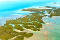 Florida Keys Wall Art