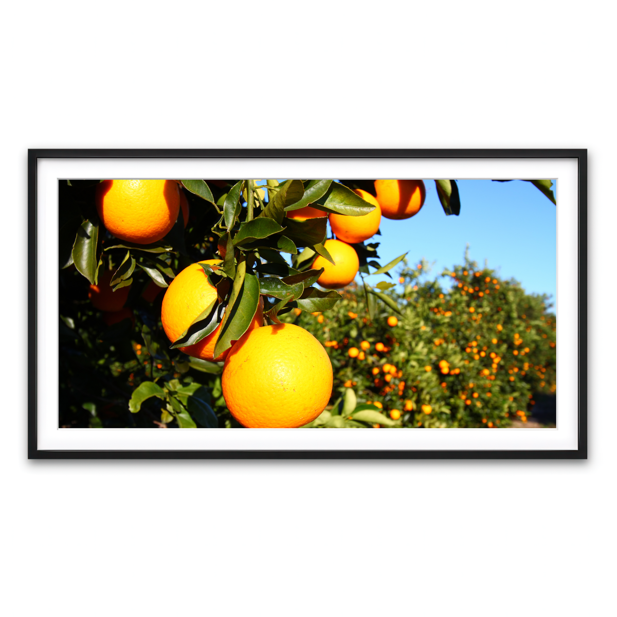Framed Print 2x1 Black