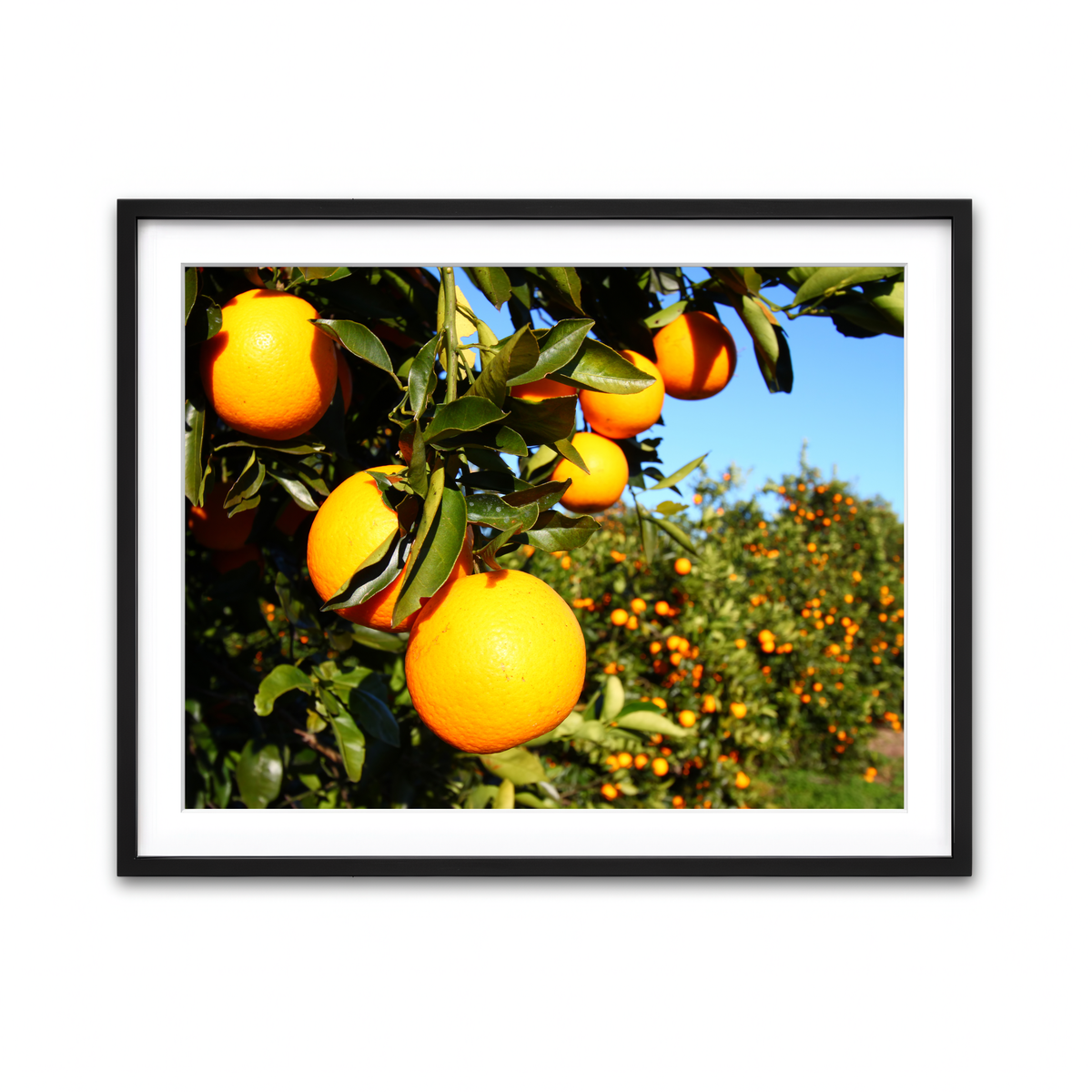 Framed Print 4x3 Black
