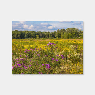 AUTO-MOCKUP WHITE | Flowering Prairie at Middlefork Savanna | 1 Piece | Gallery Wrap Canvas | group=4x3